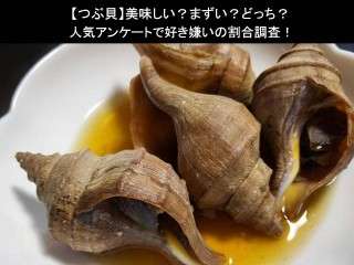 【つぶ貝】美味しい？まずい？どっち？人気アンケートで好き嫌いの割合調査！