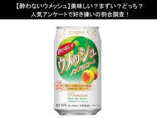 【酔わないウメッシュ】美味しい？まずい？どっち？人気アンケートで好き嫌いの割合調査！