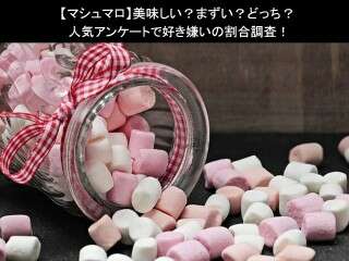 【マシュマロ】美味しい？まずい？どっち？人気アンケートで好き嫌いの割合調査！