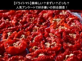 【ドライトマト】美味しい？まずい？どっち？人気アンケートで好き嫌いの割合調査！
