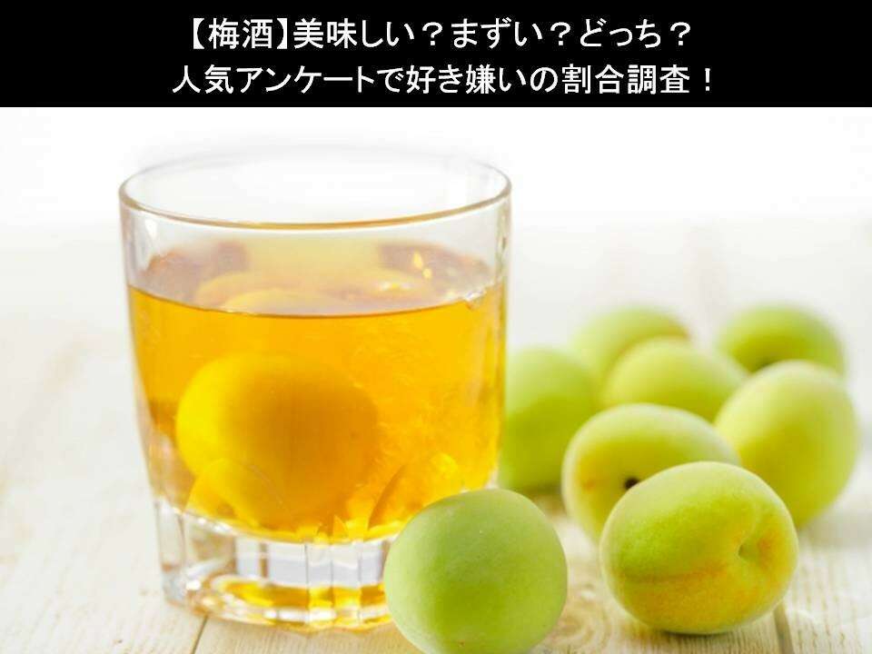 【梅酒】美味しい?まずい?どっち?人気アンケートで好き嫌いの割合調査!