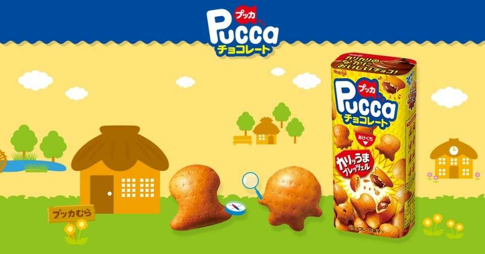 プッカ】の特徴・魅力