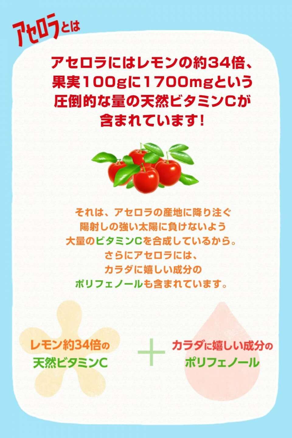 ニチレイアセロラ】の特徴・魅力