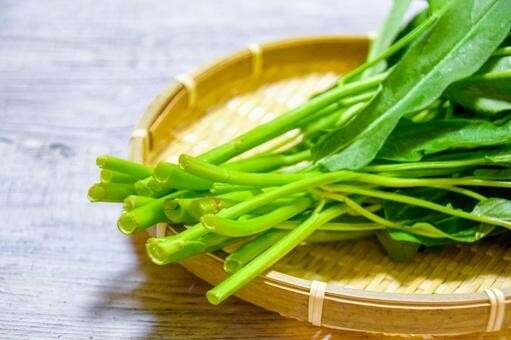 空心菜の特徴