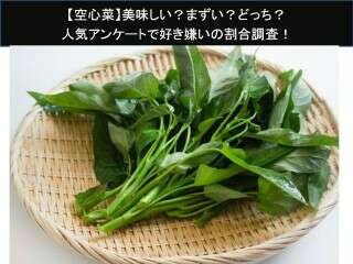 【空心菜】美味しい？まずい？どっち？人気アンケートで好き嫌いの割合調査！