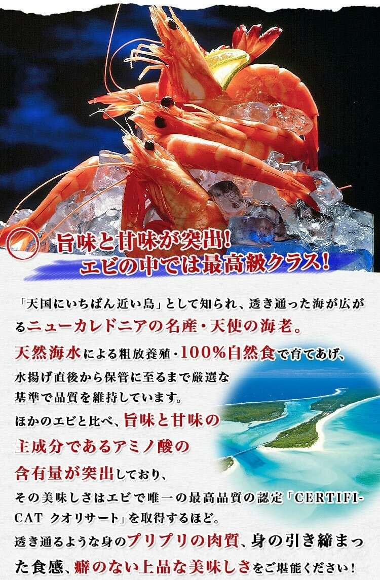 【天使の海老】の特徴・魅力