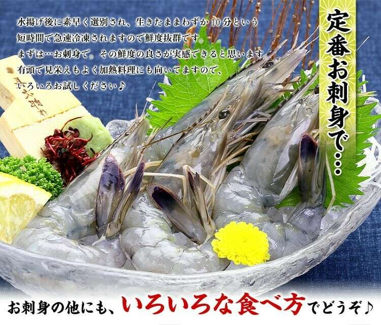  天使の海老の特徴