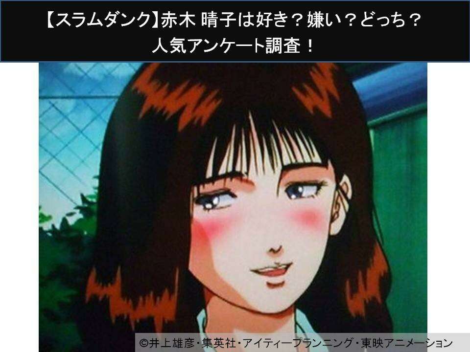 【スラムダンク】赤木 晴子は好き？嫌い？どっち？人気アンケート調査！