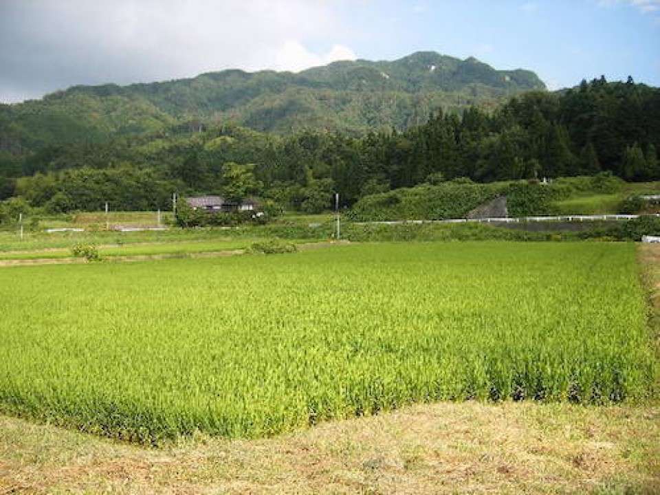 島根県の名物「仁多米」