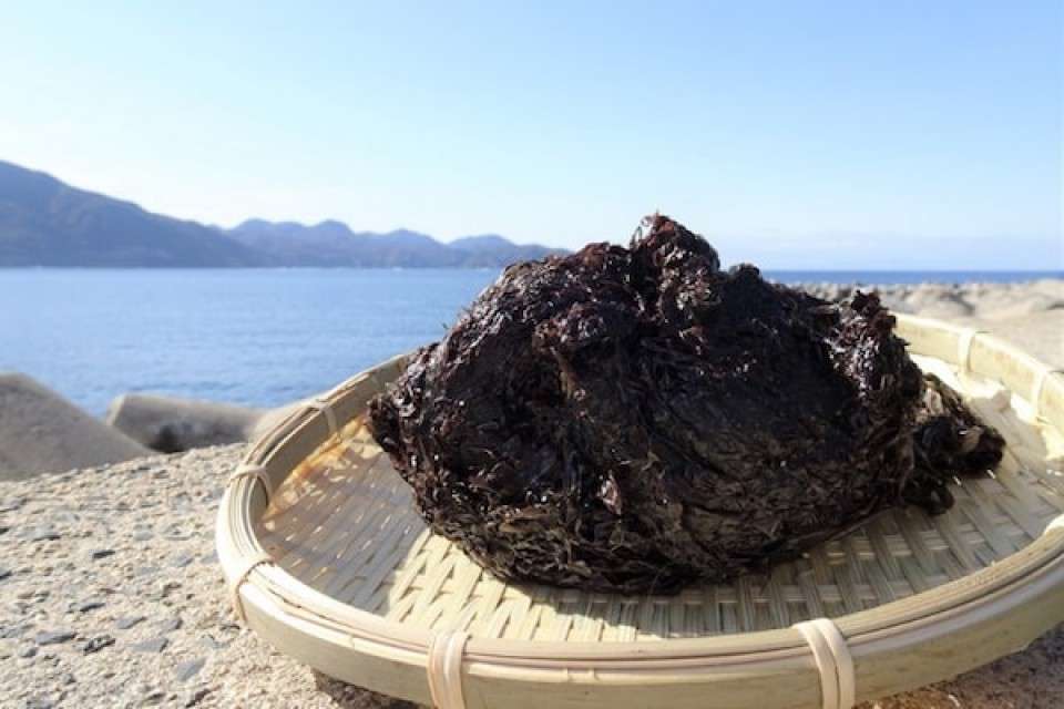 島根県の名物「十六島海苔」