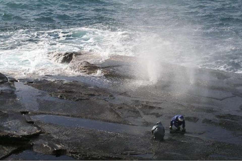 島根県の名物「十六島海苔」