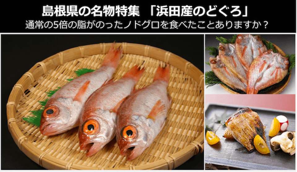 「浜田産ノドグロ」は脂の乗りが通常の5倍?数値が証明する浜田漁港のノドグロとは~島根県 お土産・名物~