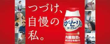 恵 megumi ガセリ菌SP株ヨーグルト】の特徴・種類