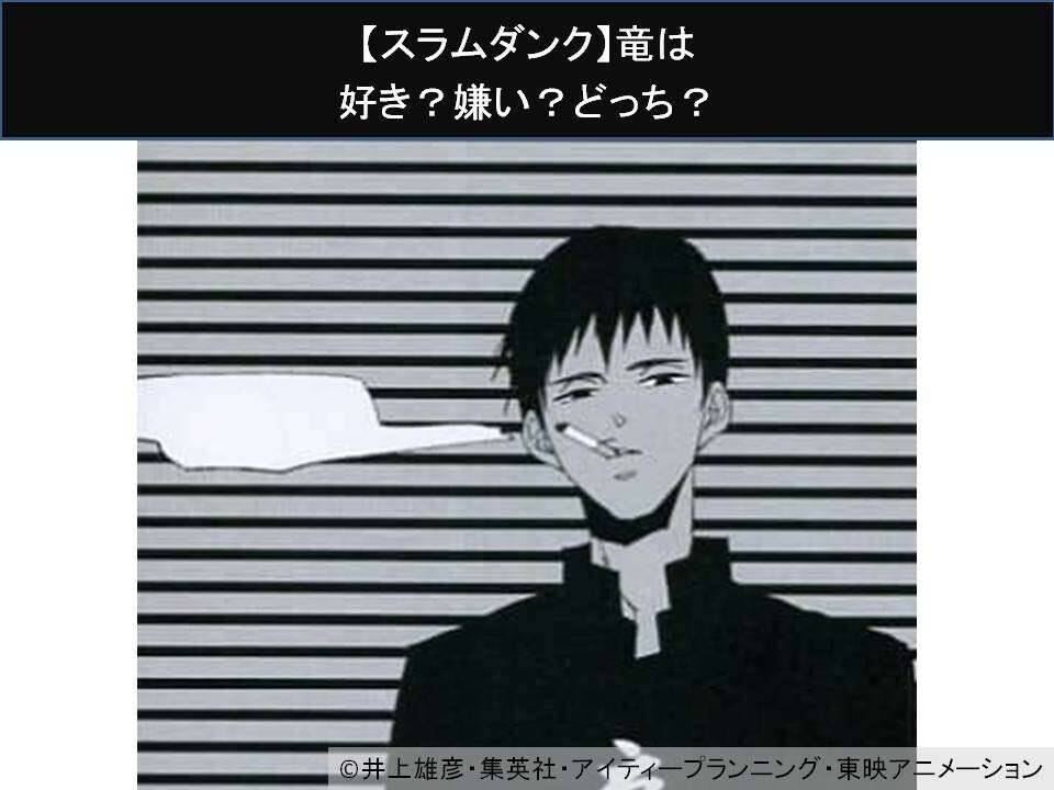 【スラムダンク】竜は好き？嫌い？どっち？人気アンケート調査！