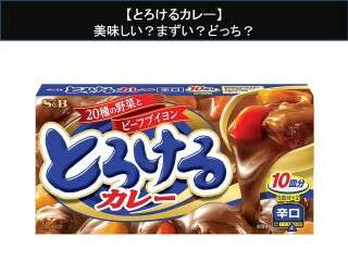 【とろけるカレー】美味しい？まずい？どっち？人気アンケートで好き嫌いの割合調査！
