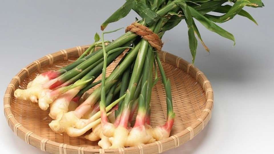 島根県の名物「出西生姜」