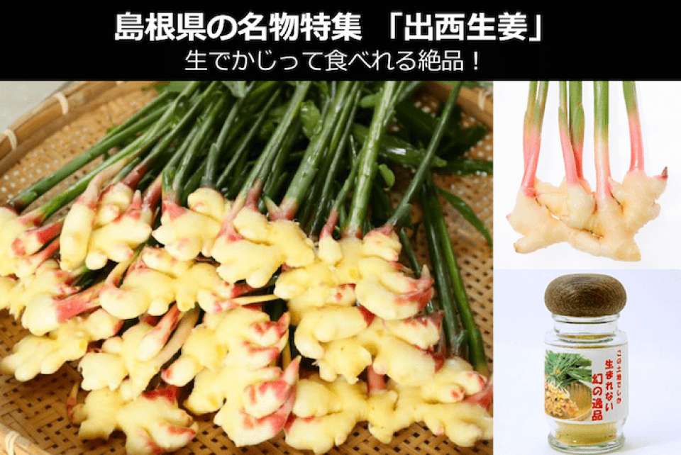 出西生姜は、生でかじって食べれる日本で唯一のショウガ!?~島根県 お土産・名物~