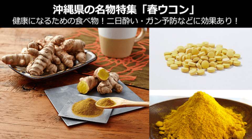 「春ウコン」は健康になるための食べ物！~二日酔い・ガン予防に春ウコンは最適~｜沖縄県 お土産・名物