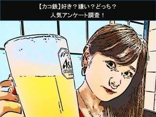 【カコ鉄】好き？嫌い？どっち？人気アンケート調査！