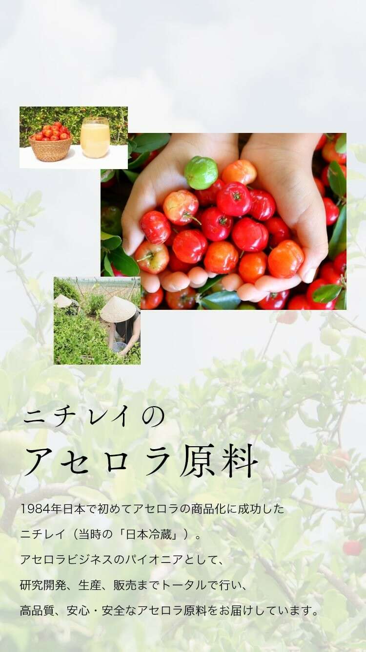 ニチレイ アセロラの実】の評判