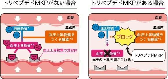 トリプルヨーグルトの特徴