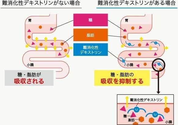 【トリプルヨーグルト】の評判