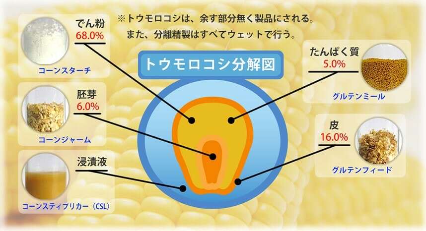 コーンスターチの特徴