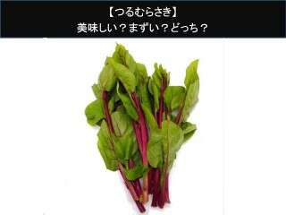 【つるむらさき】美味しい？まずい？どっち？人気アンケートで好き嫌いの割合調査！