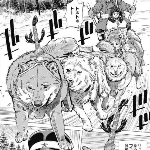 駄犬から先頭犬へ
