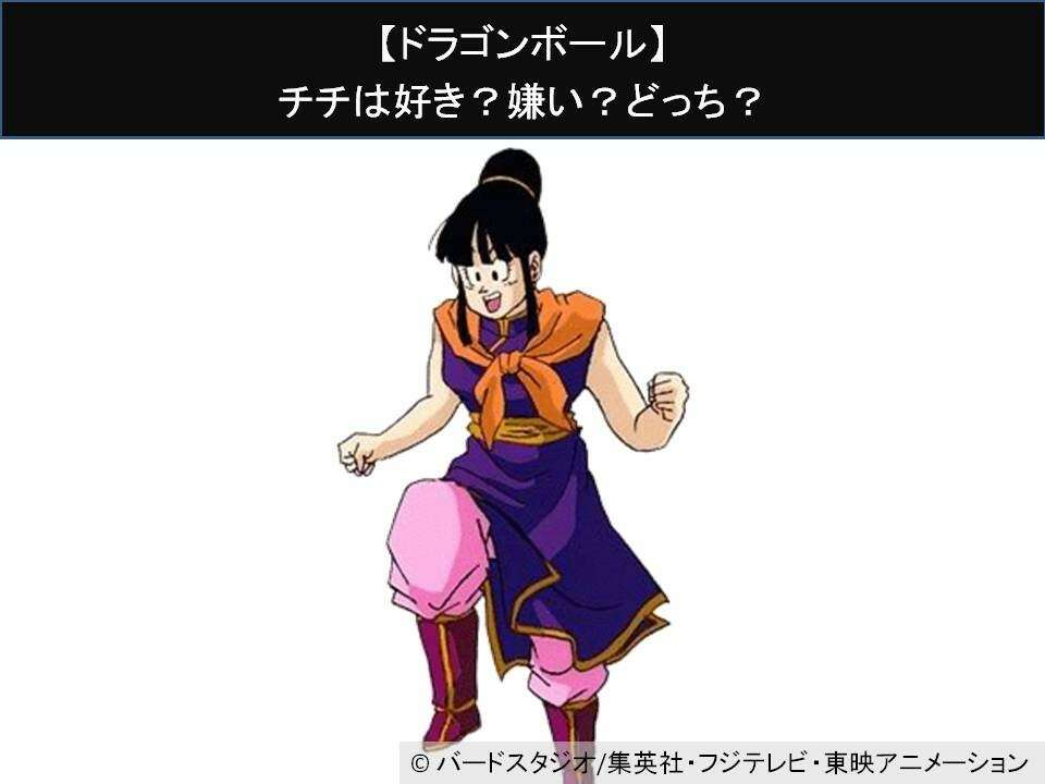 【ドラゴンボール】チチは好き?嫌い?どっち?人気アンケート調査!