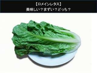 【ロメインレタス】美味しい？まずい？どっち？人気アンケートで好き嫌いの割合調査！