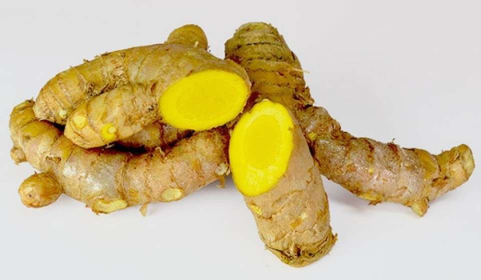 【沖縄県 お土産・名物】春ウコン