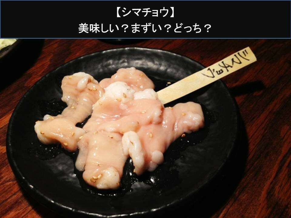 【シマチョウ】美味しい?まずい?どっち?人気アンケートで好き嫌いの割合調査!