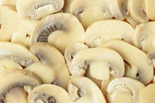 マッシュルーム】の評判