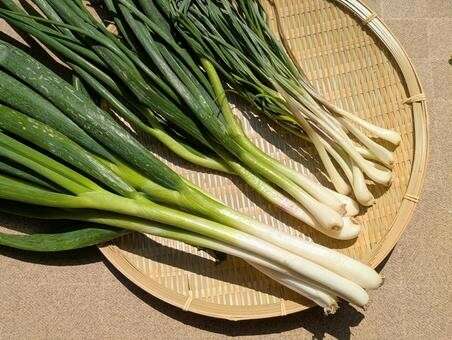 エシャロット】の特徴・魅力