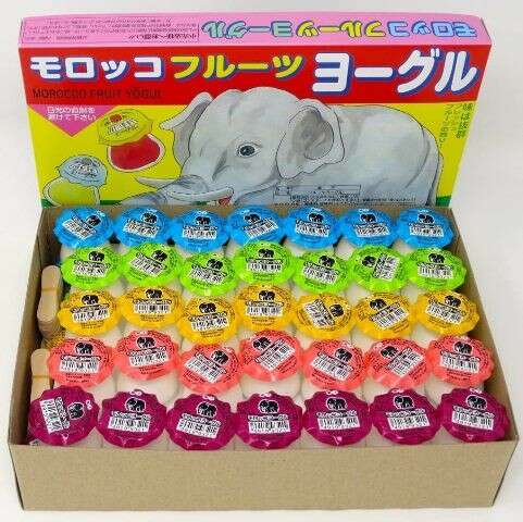 【モロッコヨーグル】の特徴・魅力