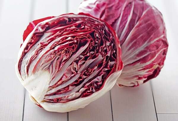 トレビス】の特徴・魅力