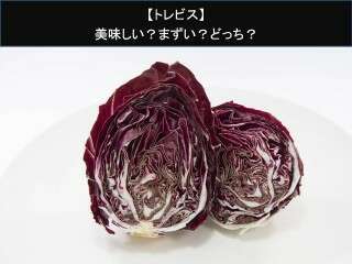 【トレビス】美味しい？まずい？どっち？人気アンケートで好き嫌いの割合調査！