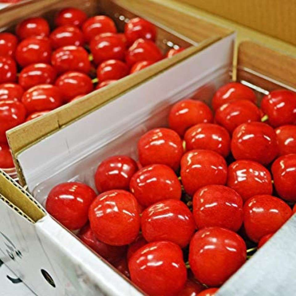 山形県の名物「さくらんぼ」