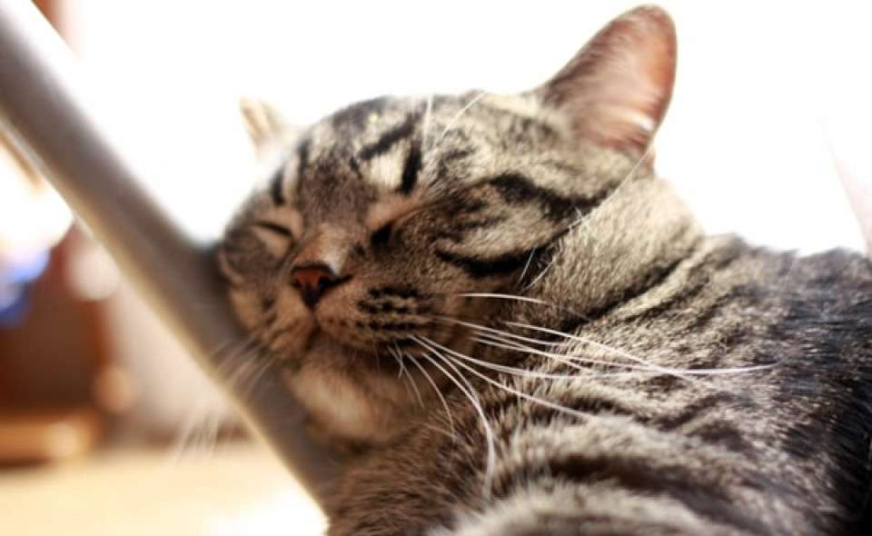1日中家でゆっくり過ごしてあげる!画像