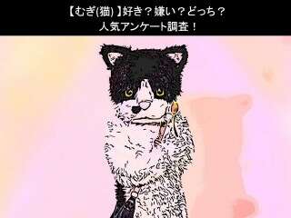 【むぎ(猫)】好き？嫌い？どっち？