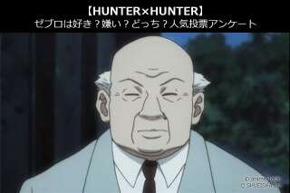 【HUNTER×HUNTER】ゼブロは好き？嫌い？どっち？人気アンケート調査！