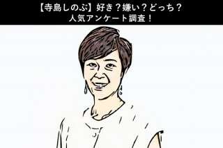 【寺島しのぶ】好き？嫌い？どっち？人気アンケート調査！