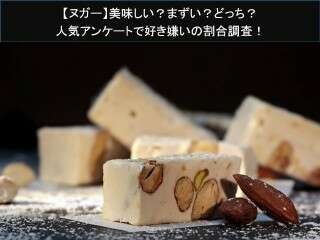 【ヌガー】美味しい？まずい？どっち？