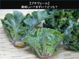 【プチヴェール】美味しい？まずい？どっち？