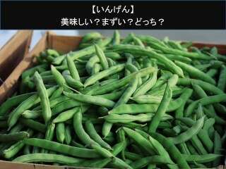 【いんげん】美味しい？まずい？どっち？