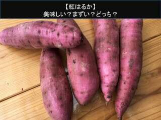 【紅はるか】美味しい？まずい？どっち？