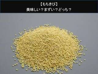 【もちきび】美味しい？まずい？どっち？