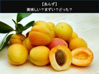 【あんず】美味しい？まずい？どっち？