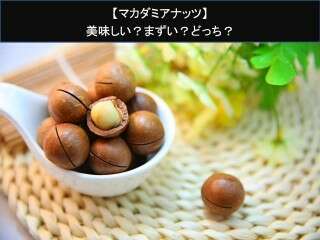 【マカダミアナッツ】美味しい？まずい？どっち？